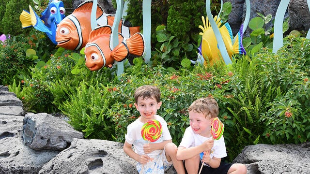 Luke's wish to go to the Walt Disney World Resort