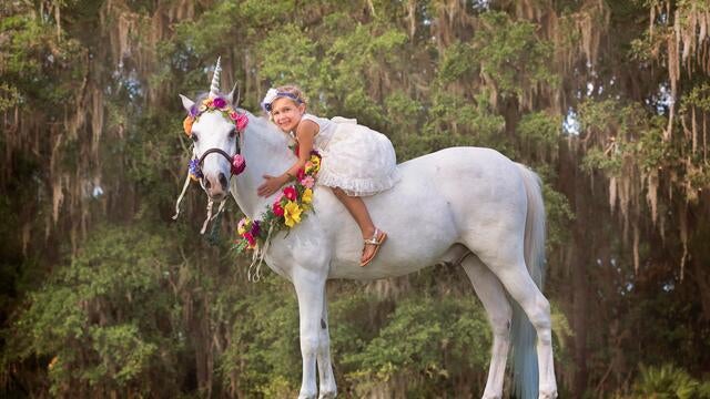 Charlotte's Unicorn