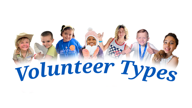 Volunteer Types