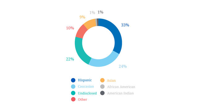 pie chart showing data of wish granted by ethnicity
