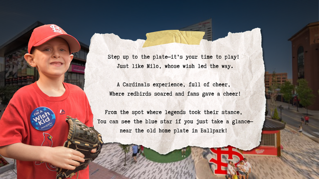 ball park star seeker