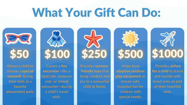 Summer Of Wishes donations