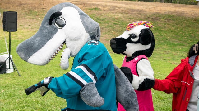 Shark and cow mascots